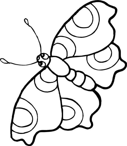 бабочка - разукрашка