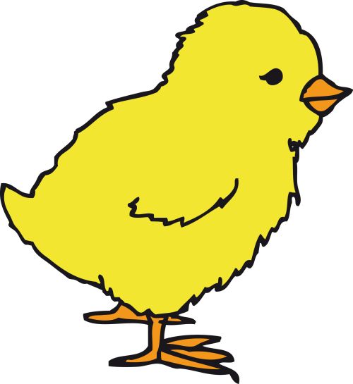 рисунок цыпленка