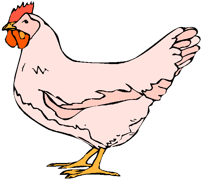 рисунок курицы