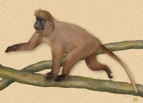 рисунок обезьяны