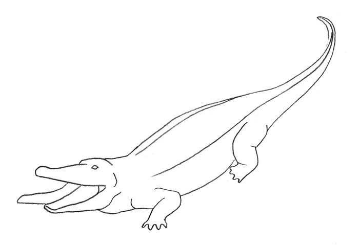 как рисовать крокодила 2