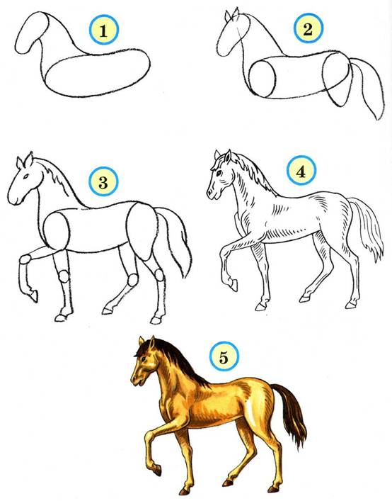 изображение лошади 3 вариант