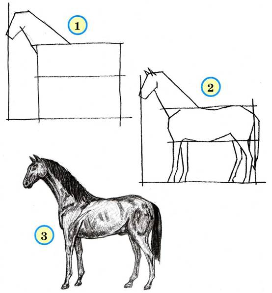 как нарисовать лошадь 2 вариант