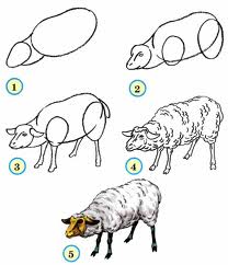 рисование овцы