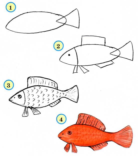 как нарисовать рыбу