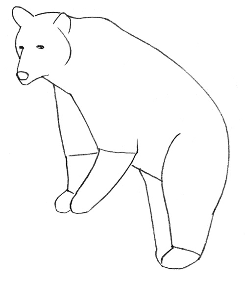 учимся рисовать медведя 2