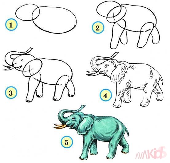 учимся рисовать слона
