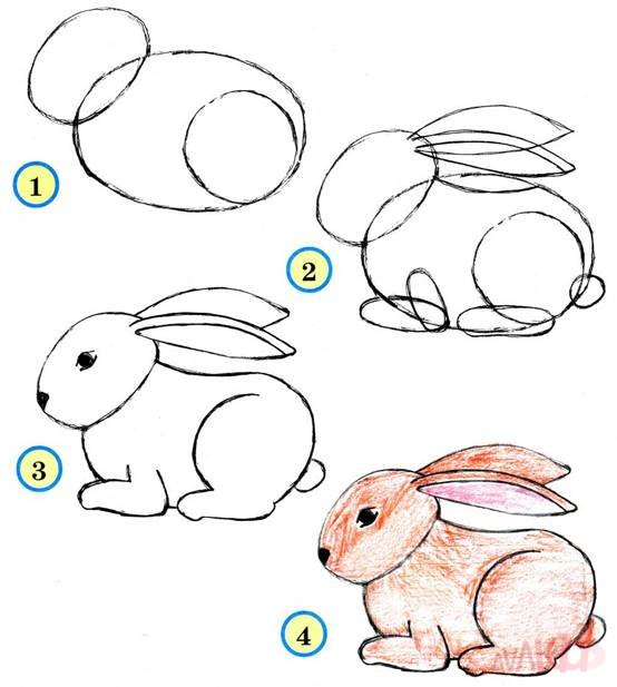 учимся рисовать зайца