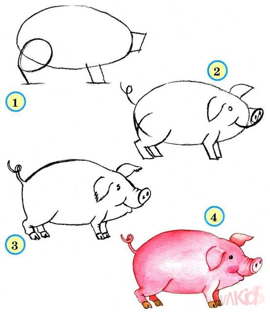учимся рисовать свинью