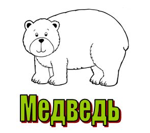 буква м - медведь