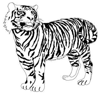 буква т - тигр