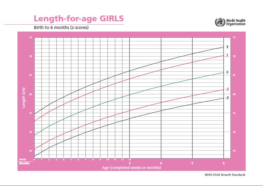 рост девочек от 0 до 6 месяцев 