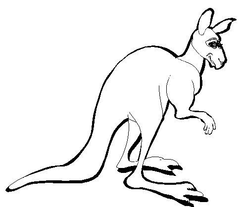 кенгуру - раскраска