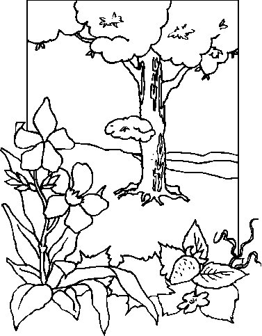 дерево, цветы - раскраска