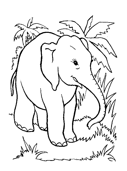 слон - раскраска
